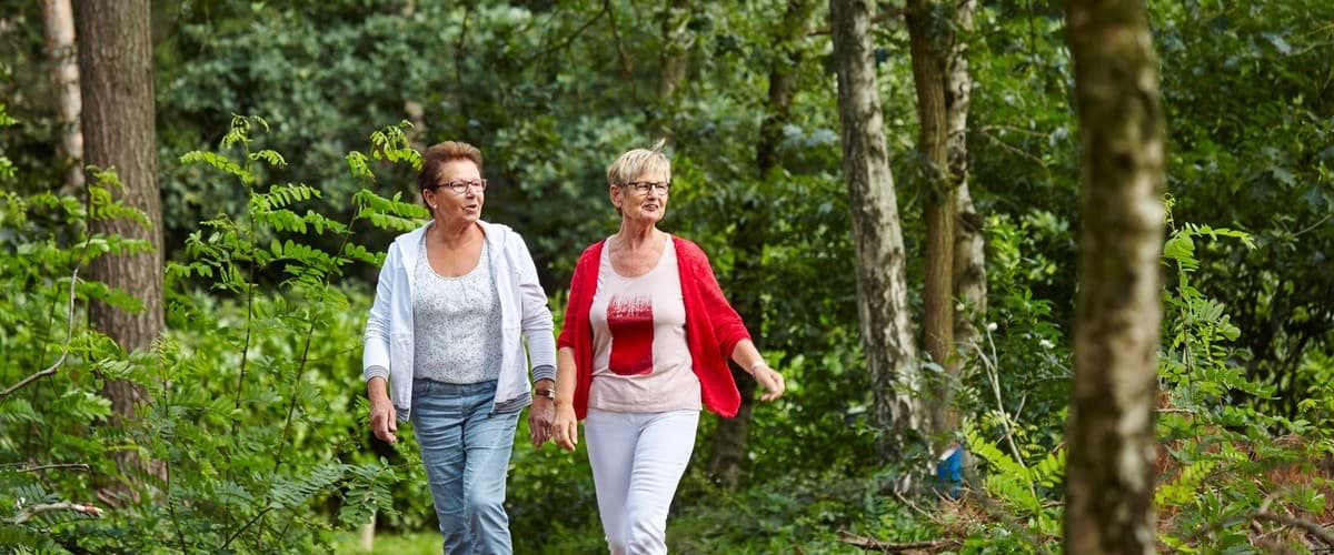 Natuurpoort  in Eersel